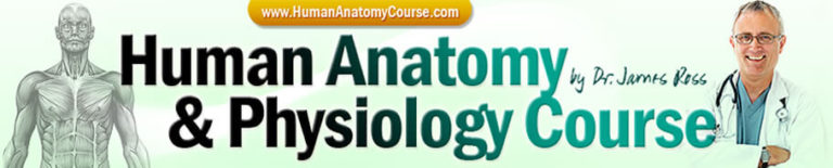 AP Courses