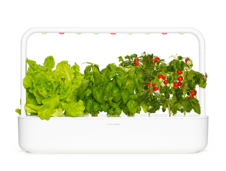Click & Grow
